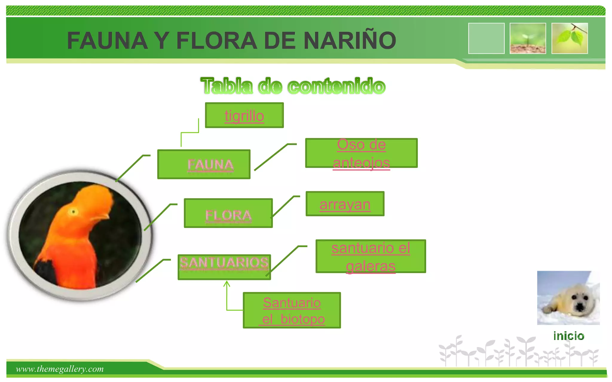 Fauna y flora de nariño | PPT | Descarga Gratuita