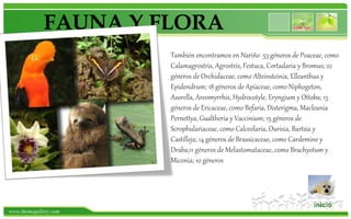 Fauna y flora de nariño | PPTX