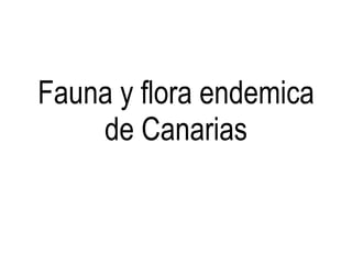 Fauna y flora endemica de Canarias 