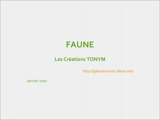 FAUNE Les Créations TONYM http://galerieromeo.diboo.net/ Janvier 2007 