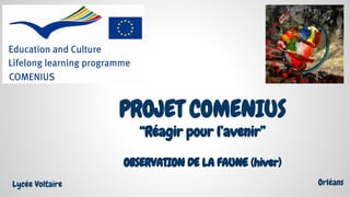 OBSERVATION DE LA FAUNE (hiver)
PROJET COMENIUS
“Réagir pour l’avenir”
Lycée Voltaire Orléans
 