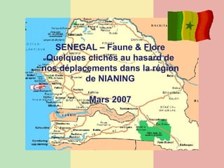 SENEGAL – Faune & Flore Quelques clichés au hasard de nos déplacements dans la région de NIANING Mars 2007 