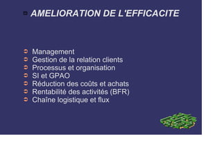  AMELIORATION DE L'EFFICACITE 
➲ Management 
➲ Gestion de la relation clients 
➲ Processus et organisation 
➲ SI et GPAO 
➲ Réduction des coûts et achats 
➲ Rentabilité des activités (BFR) 
➲ Chaîne logistique et flux 
 