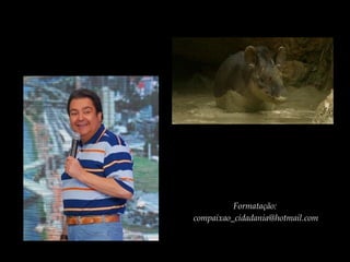 Formatação:
compaixao_cidadania@hotmail.com
 