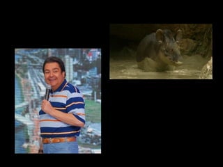 Faustao vs compaixao