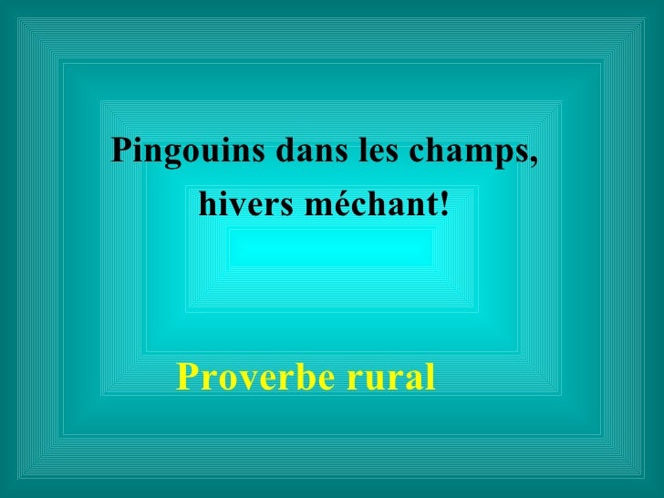 Faux Proverbes Faux Proverbes