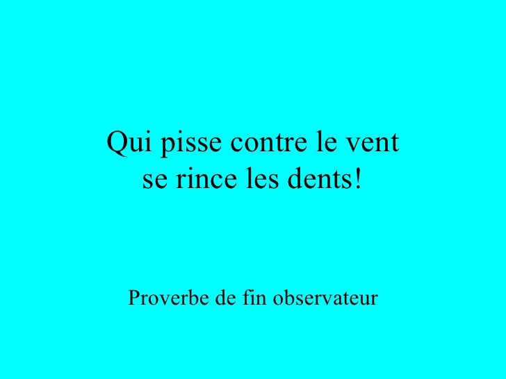 Faux Proverbes Et Vraies Conneries