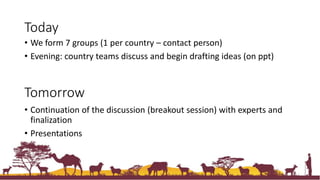 Status of Index-insurance in the IGAD region