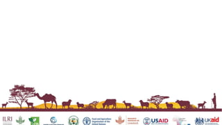 Status of Index-insurance in the IGAD region