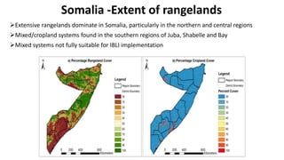 Status of Index-insurance in the IGAD region
