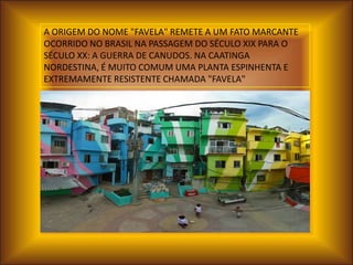 A ORIGEM DO NOME "FAVELA" REMETE A UM FATO MARCANTE
OCORRIDO NO BRASIL NA PASSAGEM DO SÉCULO XIX PARA O
SÉCULO XX: A GUERRA DE CANUDOS. NA CAATINGA
NORDESTINA, É MUITO COMUM UMA PLANTA ESPINHENTA E
EXTREMAMENTE RESISTENTE CHAMADA "FAVELA"
 