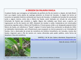 A ORIGEM DA PALAVRA FAVELA
A palavra favela, que consagrou as habitações da periferia do Rio de Janeiro e, depois, de todo Brasil,
tem sua origem numa planta da caatinga existente no Arraial de Canudos. A origem do termo se
encontra no episódio histórico conhecido por Guerra de Canudos. A cidadela de Canudos foi construída
junto a alguns morros, entre eles o Morro da Favela, assim batizado em virtude de uma planta
(chamada de favela) que encobria a região. Alguns dos soldados que foram para a guerra, ao
regressarem ao Rio de Janeiro em 1897, deixaram de receber o soldo, instalando-se em construções
provisórias erguidas sobre o Morro da Providência. O local passou então a ser designado popularmente
Morro da Favela, em referência à “favela” original. O nome favela ficou conhecido na década de 1920,
as habitações improvisadas, sem infraestrutura, que ocupavam os morros passaram a ser chamadas de
favelas. Com a destruição do arraial de resistência de Antônio Conselheiro, em Canudos, muitos dos
beatos migraram para o Rio de Janeiro em navios oferecidos pelo poder público, como forma de
desativar o foco de resistência.
SANTOS, I. M. M. dos. Sobre o Nordeste. Disponível em:
http://www.onordeste.com/onordeste/sobreonordeste/index.php
Data de acesso: 23.05.12
Imagem: Cnidoscolus phyllacanthus seed / autor: João Medeirps / Creative Commons Attribution 2.0 Generic
 