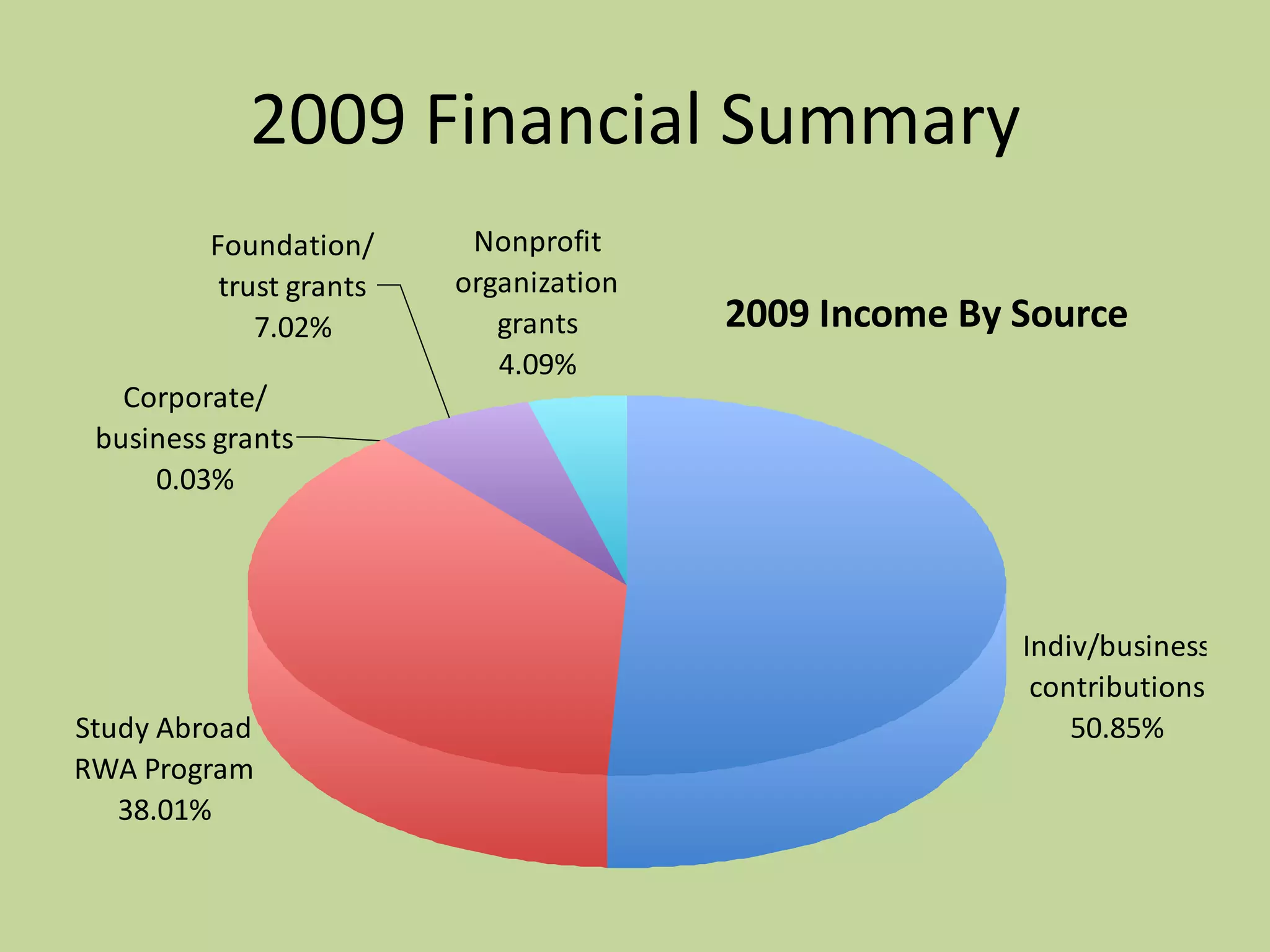 2009 Financial Summary
