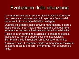 Evoluzione della situazioneEvoluzione della situazione
La castagna laterale si sentiva piccola piccola e brutta eLa castagna laterale si sentiva piccola piccola e brutta e
non riusciva a crescere perché lo spazio all’interno delnon riusciva a crescere perché lo spazio all’interno del
riccio era tutto occupato dall’altra castagna.riccio era tutto occupato dall’altra castagna.
Quando ad ottobre il riccio arrivò a maturazione, si aprì eQuando ad ottobre il riccio arrivò a maturazione, si aprì e
lasciò cadere i suoi frutti; le due castagne si ritrovaronolasciò cadere i suoi frutti; le due castagne si ritrovarono
separate sul terreno e finalmente lontane l’una dall’altra.separate sul terreno e finalmente lontane l’una dall’altra.
Passò di là un contadino e raccolse le castagne grosse,Passò di là un contadino e raccolse le castagne grosse,
lasciando sul terreno quelle piccole e inconsistenti.lasciando sul terreno quelle piccole e inconsistenti.
Sembrava che le ingiustizie non dovessero mai finire.Sembrava che le ingiustizie non dovessero mai finire.
Arrivato a casa, il contadino diede da mangiare al maiale leArrivato a casa, il contadino diede da mangiare al maiale le
castagne raccolte e di loro, ovviamente, non si seppe piùcastagne raccolte e di loro, ovviamente, non si seppe più
nulla.nulla.
 