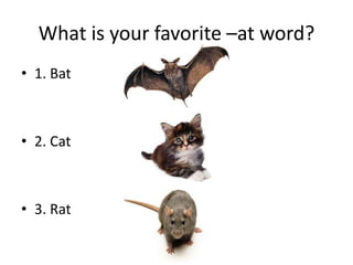 What is your favorite –at word? 1. Bat 2. Cat 3. Rat 