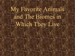 My Favorite Animals
and The Biomes in
Which They Live
 