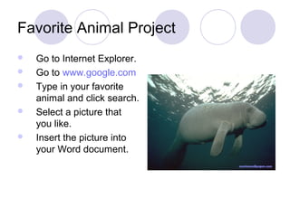 Favorite Animal Project PPT Favorite Animal Project 3 320