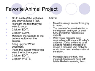 Favorite Animal Project PPT Favorite Animal Project 6 320