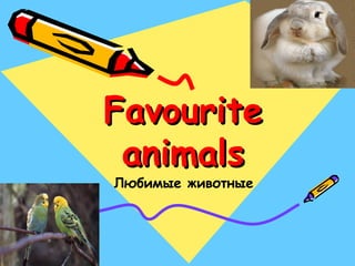 FavouriteFavourite
animalsanimals
Любимые животные
 