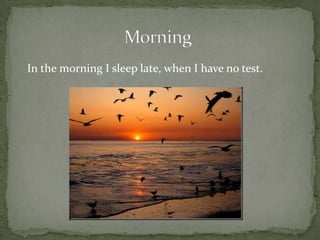MorningIn the morning I sleep late, when I have no test.