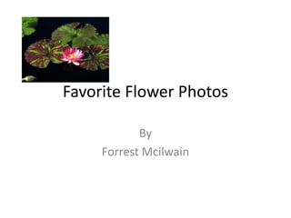 Favorite Flower Photos
By
Forrest Mcilwain
 