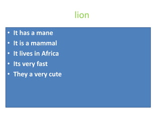 lion
• It has a mane
• It is a mammal
• It lives in Africa
• Its very fast
• They a very cute
 