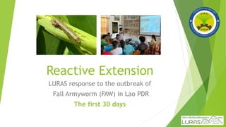 Reactive Extension
LURAS response to the outbreak of
Fall Armyworm (FAW) in Lao PDR
The first 30 days
 