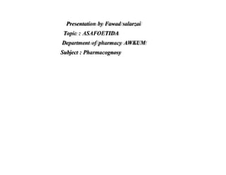 Topic : ASAFOETIDA
Department of pharmacy AWKUM
Subject : Pharmacognosy
Presentation by Fawad salarzai
 
