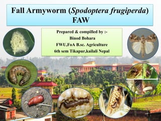 1
Fall Armyworm (Spodoptera frugiperda)
FAW
Prepared & compilled by :-
Binod Bohara
FWU,FoA B.sc. Agriculture
6th sem Tikapur,kailali Nepal
 