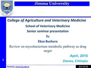 Jimma University
Website: www.ju.edu.et JUCAVM
College of Agriculture and Veterinary Medicine
School of Veterinary Medicine
Senior seminar presentation
By
Ebsa Bushura
Review on mycobacterium metabolic pathway as drug
target
April, 2016
Jimma, Ethiopia1
 