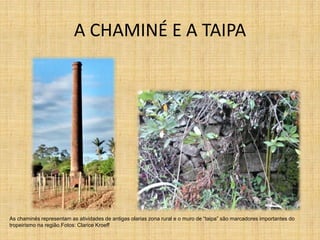 A CHAMINÉ E A TAIPA
As chaminés representam as atividades de antigas olarias zona rural e o muro de “taipa” são marcadores importantes do
tropeirismo na região.Fotos: Clarice Kroeff
 