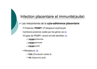 Infection placentaire et immunité(suite)
Les mécanismes de la cyto-adhérence placentaire
Proteines: PfEMP1 (P.falciparum erythrocyte
membrane proteine) codée par les gènes var (3)
3 types de PfEMP1 variant ont été identifiés: (4)
PfEMP1FCR3varCSA
PfEMP13D7varCSA
PfEMP1varCS2
Récepteurs: (3)
CSA (Chondroitin sulfate A)
HA (Hyaluronic acid)
 