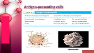 Dendritic cells
 