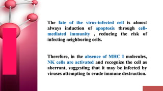 The fate of the virus-infected cell is almost
always induction of apoptosis through cell-
mediated immunity , reducing the risk of
infecting neighboring cells.
Therefore, in the absence of MHC I molecules,
NK cells are activated and recognize the cell as
aberrant, suggesting that it may be infected by
viruses attempting to evade immune destruction.
 
