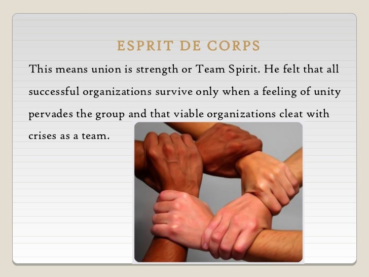 Fayol principle of mgt