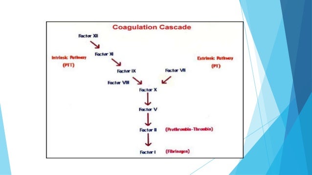 factor viii hemophilia coagulation factors
