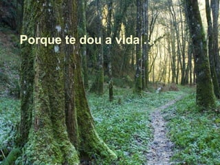Porque te dou a vida … 