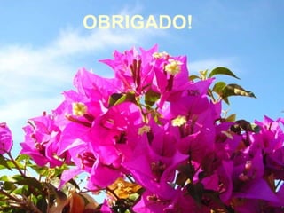 OBRIGADO!  