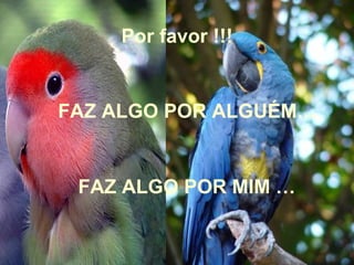 Por favor !!! FAZ ALGO POR ALGUÉM… FAZ ALGO POR MIM … 