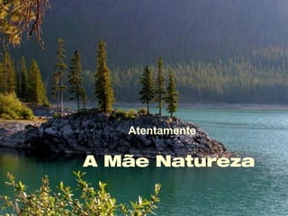 Atte. Atentamente A Mãe Natureza 
