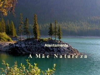 Atte. Atentamente A Mãe Natureza 