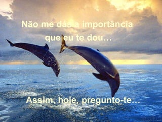 Assim, hoje, pregunto-te… Não me dás a importância que eu te dou… 