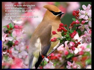 Encara as tuas obrigações com satisfação.  É maravilhoso desfrutar o que se faz.  Põe amor em tudo o que está ao teu alcance. 