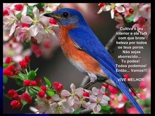 Cultiva o teu interior e ele fará com que brote beleza por todos os teus poros.  Não sejas aborrecido...  Tu podes!  Todos podemos!  Então... Vamos!!!  VIVE MELHOR! 