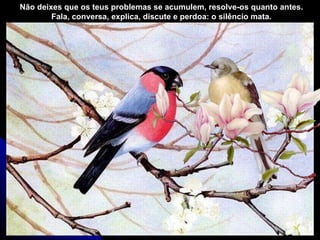 Não deixes que os teus problemas se acumulem, resolve-os quanto antes.  Fala, conversa, explica, discute e perdoa: o silêncio mata.  