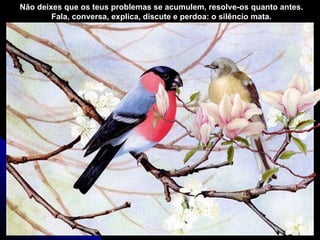Não deixes que os teus problemas se acumulem, resolve-os quanto antes.
        Fala, conversa, explica, discute e perdoa: o silêncio mata.
 