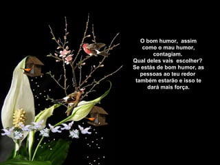 O bom humor,  assim como o mau humor, contagiam.  Qual deles vais  escolher?  Se estás de bom humor, as pessoas ao teu redor  também estarão e isso te dará mais força. 