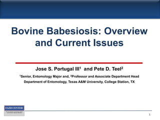 Bovine Babesiosis: Overview and Current Issues Jose S. Portugal III1  and Pete D. Teel2 1Senior, Entomology Major and, 2Professor and Associate Department Head Department of Entomology, Texas A&M University, College Station, TX 1 