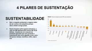 4 PILARES DE SUSTENTAÇÃO
SUSTENTABILIDADE
● Sem o respeito ambiental o negócio além
de ser contra a lei prejudica porque
não é viável a longo prazo
● Neste trimestre (julho-agosto-setembro), o
valor do PIB Agropecuário somou R$ 70,29
bilhões. Destaca-se um conjunto de
produtos agrícolas que vem puxando o
crescimento tais como algodão, arroz, cana-
de-açúcar, laranja, mandioca, milho, soja e
uva
 