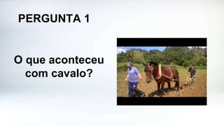 PERGUNTA 1
O que aconteceu
com cavalo?
 